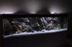 A Solid Foundation: Choosing the Perfect Substrate for Your Aquarium ... - Rocky Beach Aquarium Setup For Sale