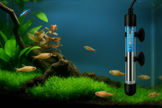 Aquarium heating and types of aquarium heaters | Aquadecor LLC - High-Performance Aquarium Heating Package